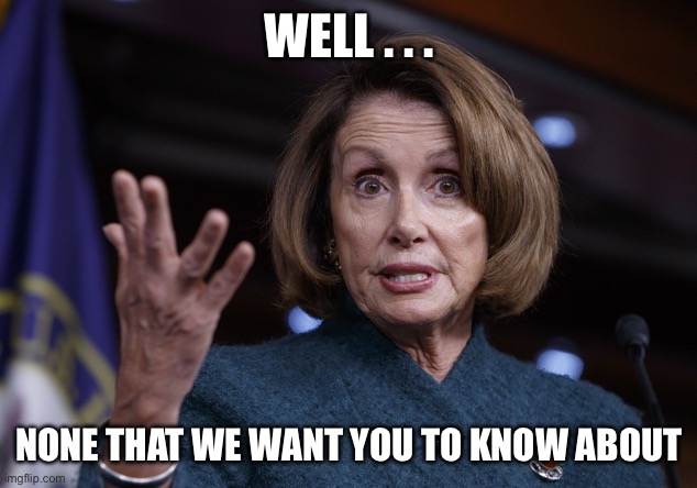 Well . . . None that we want you to know about | image tagged in good old nancy pelosi | made w/ Imgflip meme maker