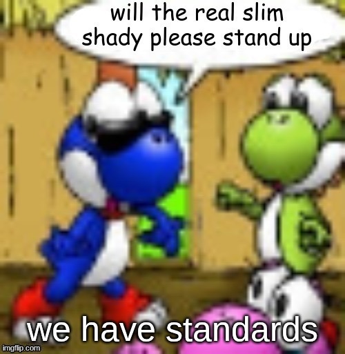 will the real slim shady please stand up | we have standards | image tagged in will the real slim shady please stand up | made w/ Imgflip meme maker