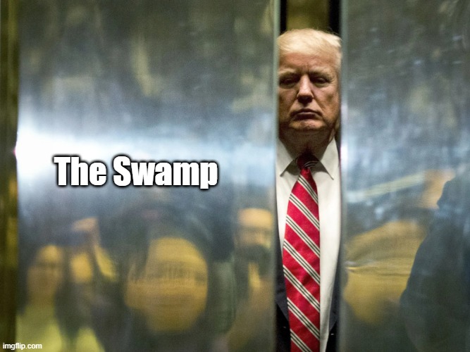 The Swamp | The Swamp | image tagged in trump,swamp | made w/ Imgflip meme maker