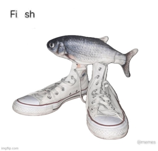Finish the drawing | image tagged in finish the drawing | made w/ Imgflip meme maker