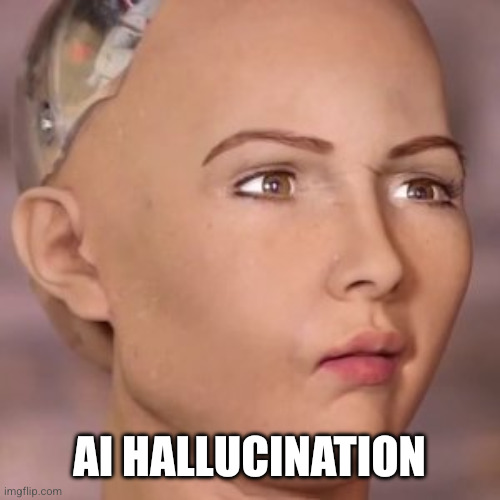 AI robot lady weird face | AI hallucination | image tagged in ai robot lady weird face | made w/ Imgflip meme maker