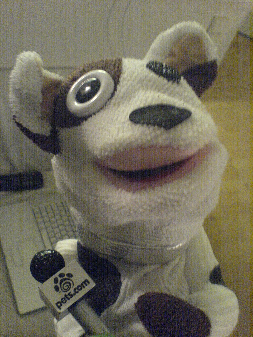Pets.com sock puppet Blank Meme Template