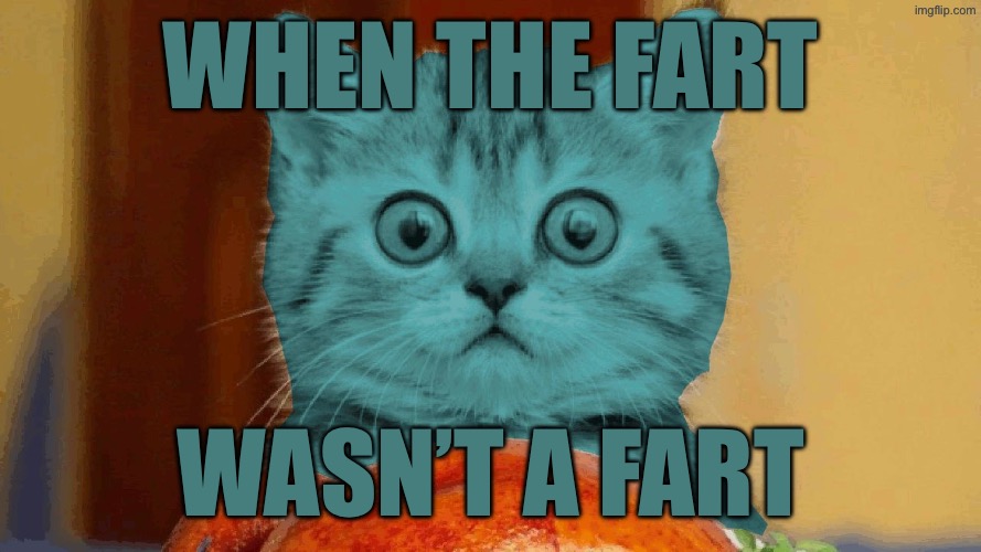 RayCat surprised | When the fart Wasn’t a fart | image tagged in raycat surprised | made w/ Imgflip meme maker