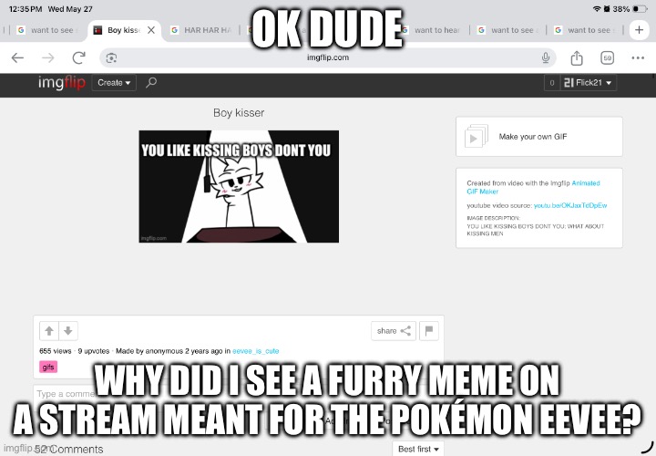 Why are furries like this, please post in the right stream. | Ok dude; Why did I see a furry meme on a stream meant for the Pokémon eevee? | image tagged in img_2156 png | made w/ Imgflip meme maker