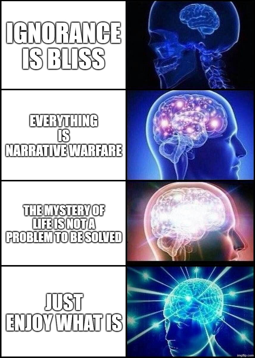 Enjoy the now | Ignorance is bliss; everything is narrative warfare; the mystery of life is not a problem to be solved; just enjoy what is | image tagged in expanding brain 4 frames fixed,spirituality | made w/ Imgflip meme maker