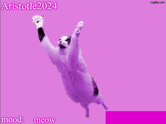 raycat announcement temp v3 | Aristotle2024; =============; meow | image tagged in botslayer announcement temp v2 | made w/ Imgflip meme maker