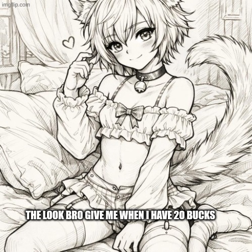 the look bro give me when I got 20 bucks | the look bro give me when i have 2o bucks | image tagged in furry,femboy,gay | made w/ Imgflip meme maker