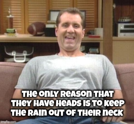 al bundy | The only reason that they have heads is to keep the rain out of their neck | image tagged in al bundy | made w/ Imgflip meme maker