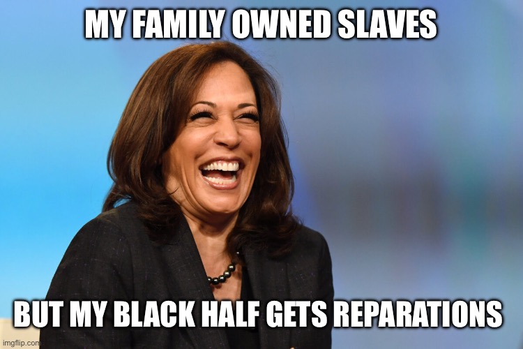 My family owned slaves But my black half gets reparations | image tagged in kamala harris laughing | made w/ Imgflip meme maker
