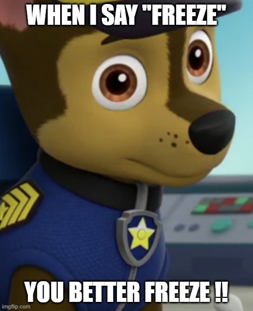 when I say "freeze" you better freeze !! | image tagged in chase staring | made w/ Imgflip meme maker