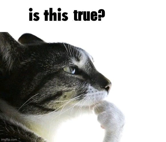 Is this ragebait? | true? | image tagged in is this ragebait | made w/ Imgflip meme maker
