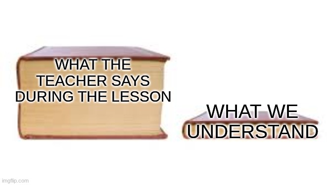 school be like | What the teacher says during the lesson; What we understand | image tagged in big book small book | made w/ Imgflip meme maker