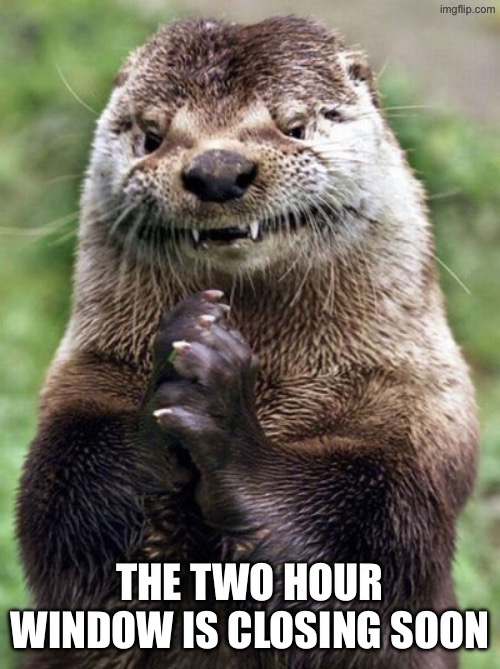 Evil Otter Meme | The two hour window is closing soon | image tagged in memes,evil otter | made w/ Imgflip meme maker