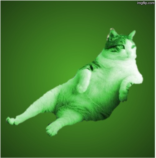 Draw me like one of those radioactive felines | image tagged in green square with radial gradient and white outline | made w/ Imgflip meme maker