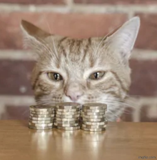 Kitty cash | image tagged in kitty cash | made w/ Imgflip meme maker