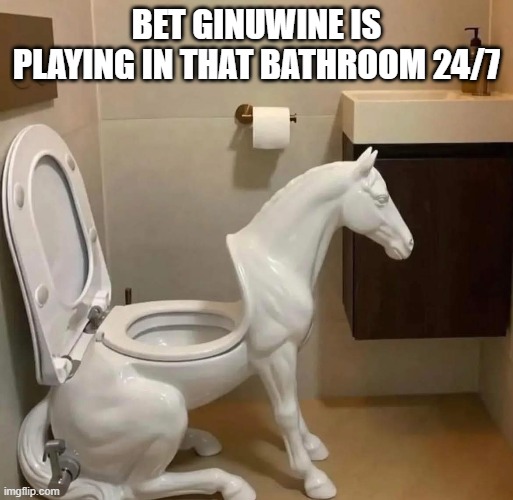 Ride that Pony | Bet Ginuwine is playing in that bathroom 24/7 | image tagged in cursed image | made w/ Imgflip meme maker