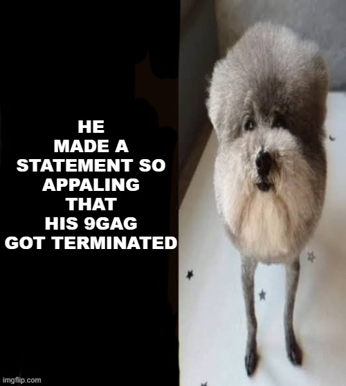yes | HE MADE A STATEMENT SO APPALING THAT HIS 9GAG GOT TERMINATED | image tagged in he made a statement blank | made w/ Imgflip meme maker