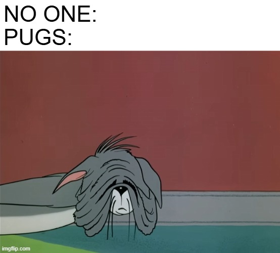 Lol | no one: 
pugs: | image tagged in memes,funny,tom and jerry,dogs,pugs | made w/ Imgflip meme maker