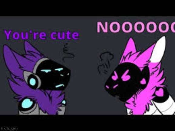 download (12).jpeg | image tagged in download 12 jpeg | made w/ Imgflip meme maker