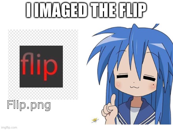 I took this way too seriously | I imaged the flip; Flip.png | image tagged in imgflip | made w/ Imgflip meme maker