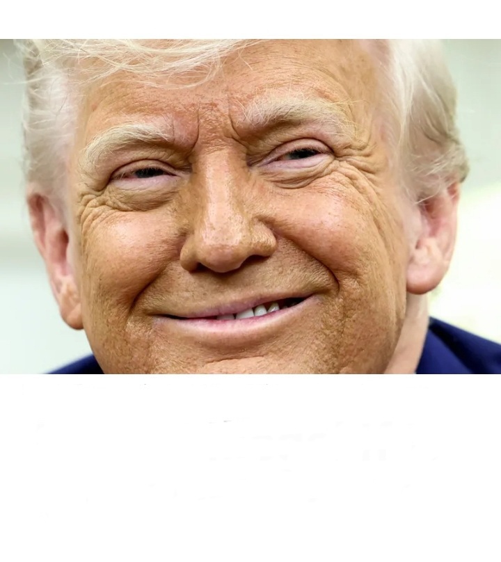 Donald Trump Blank Meme Template