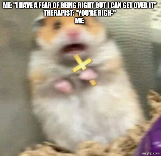 oh no | me: "I have a fear of being right but I can get over it"
therapist: "you're righ-"
me: | image tagged in scared hamster with cross,right,therapist,scared hamster | made w/ Imgflip meme maker