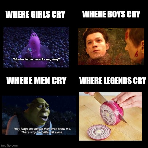 "everyone cried at that part" | where boys cry; Where girls cry; Take her to the moon for me, okay? where men cry; where legends cry | image tagged in inside out,avengers infinity war,shrek | made w/ Imgflip meme maker