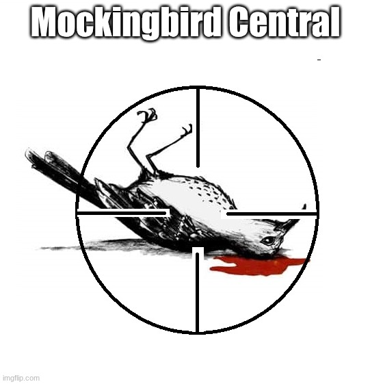 mockingbird | Mockingbird Central | image tagged in mockingbird | made w/ Imgflip meme maker