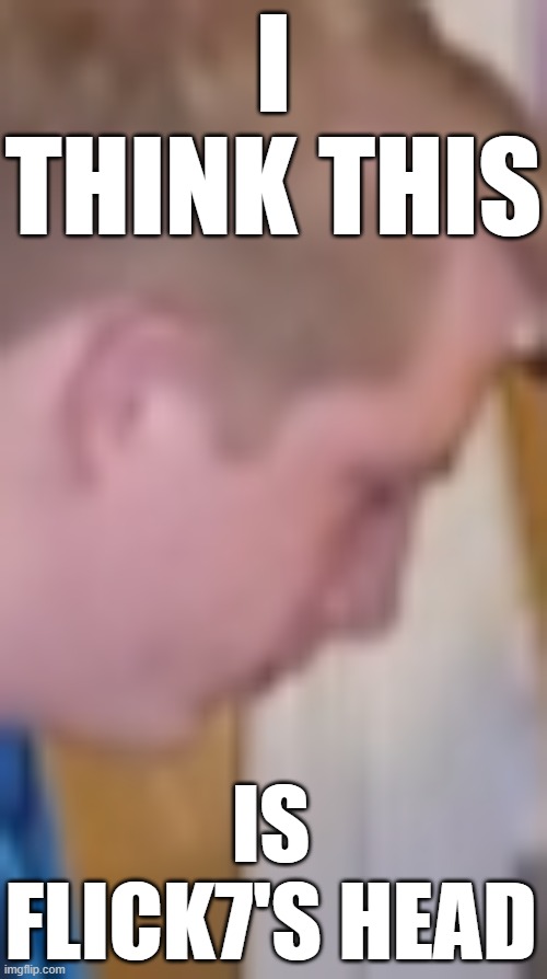 Am I wrong? | I think this; is flick7's head | image tagged in flick7's head png | made w/ Imgflip meme maker