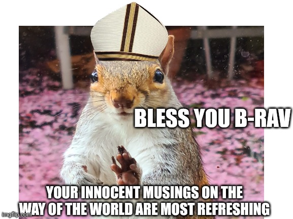 Your innocent musings on the way of the world are most refreshing Bless you B-rav | image tagged in blank white template | made w/ Imgflip meme maker