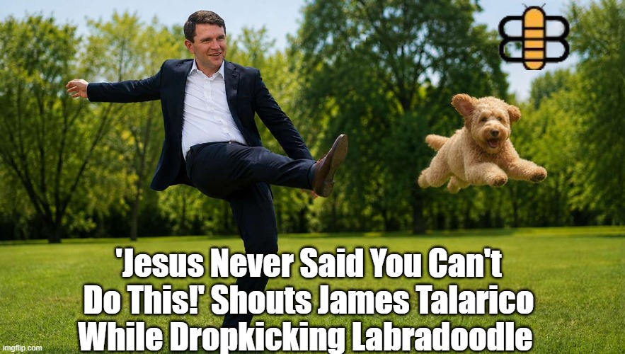 'Jesus Never Said You Can't Do This!' Shouts James Talarico While Dropkicking Labradoodle | made w/ Imgflip meme maker