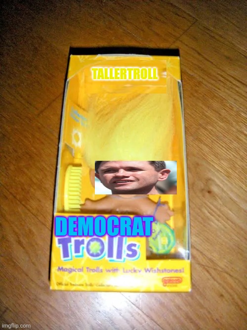 Troll doll are back | Tallertroll; Democrat | image tagged in nostalgic | made w/ Imgflip meme maker
