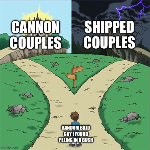 Ships | shipped couples; cannon couples; random bald guy i found peeing in a bush | image tagged in two paths | made w/ Imgflip meme maker