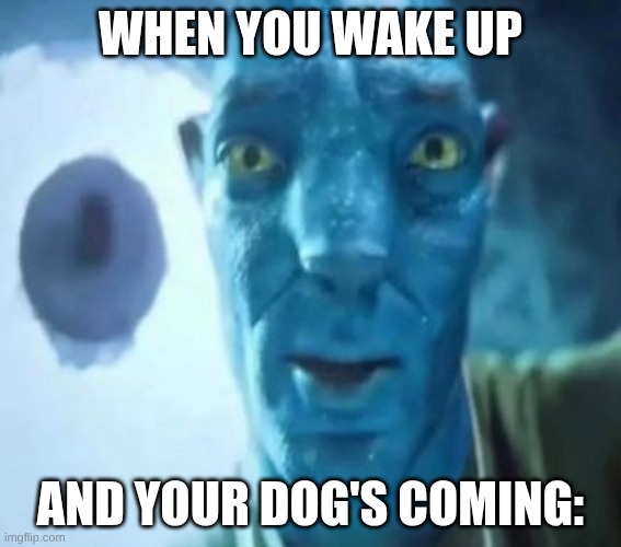 Avatar guy | when you wake up; and your dog's coming: | image tagged in avatar guy,hehe | made w/ Imgflip meme maker