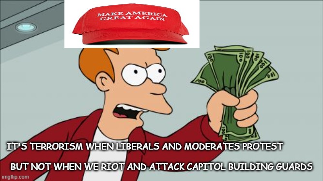 MAGA basically | It's terrorism when liberals and moderates protest; But not when we riot and attack Capitol building guards | image tagged in memes,shut up and take my money fry | made w/ Imgflip meme maker