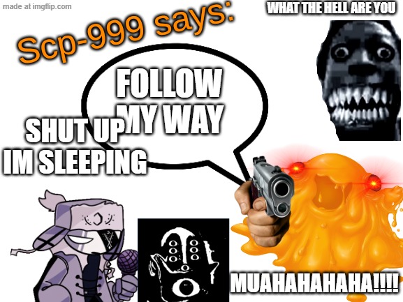 A B S O L U T E  C H A O S | WHAT THE HELL ARE YOU; FOLLOW MY WAY; SHUT UP IM SLEEPING; MUAHAHAHAHA!!!! | image tagged in scp-999 says | made w/ Imgflip meme maker