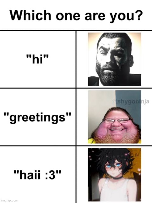 made w/ Imgflip meme maker