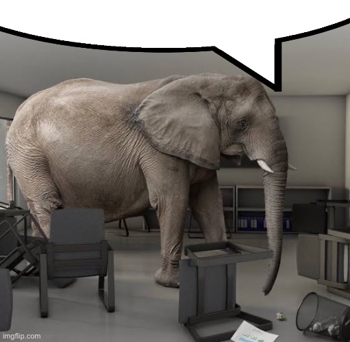 Elephant in the room | image tagged in elephant in the room | made w/ Imgflip meme maker