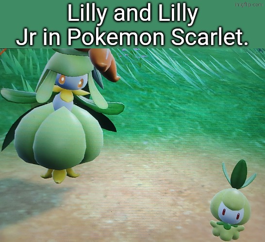 Lilly and Lilly Jr in Pokemon Scarlet. | Lilly and Lilly Jr in Pokemon Scarlet. | image tagged in pokemon,lilly,lilly jr | made w/ Imgflip meme maker