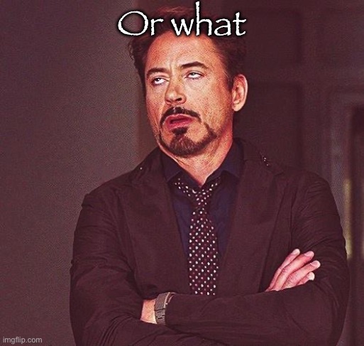 Robert Downey Jr Annoyed | Or what | image tagged in robert downey jr annoyed | made w/ Imgflip meme maker
