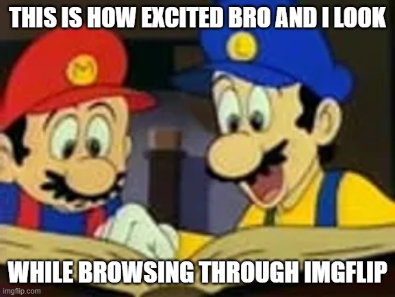 Mario and Luigi Reading | this is how excited bro and i look; while browsing through imgflip | image tagged in mario and luigi reading,great mission | made w/ Imgflip meme maker