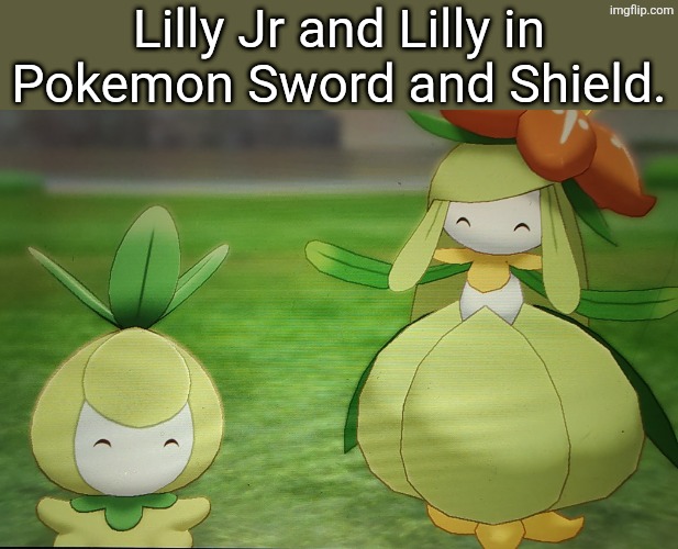 They're in Galar now. | Lilly Jr and Lilly in Pokemon Sword and Shield. | image tagged in pokemon,lilly,lilly jr | made w/ Imgflip meme maker