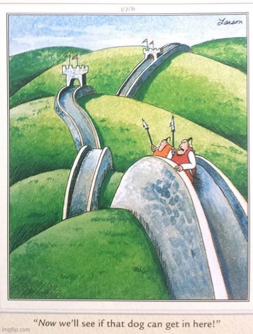 Probably not | image tagged in the far side,comics,china,great wall of china,guards,dog | made w/ Imgflip meme maker