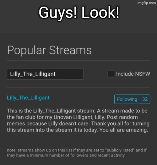 We're in the popular streams now | Guys! Look! | image tagged in streams | made w/ Imgflip meme maker