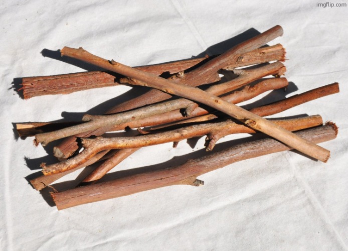Bundle of Sticks | image tagged in bundle of sticks | made w/ Imgflip meme maker