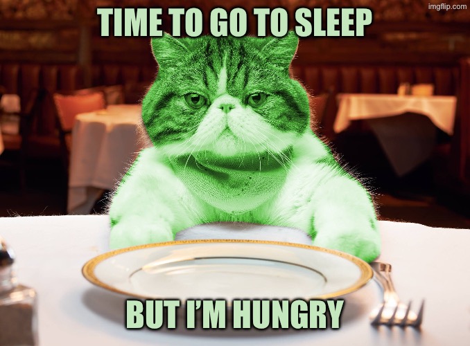 RayCat Hungry | Time to go to sleep; But I’m hungry | image tagged in raycat hungry | made w/ Imgflip meme maker
