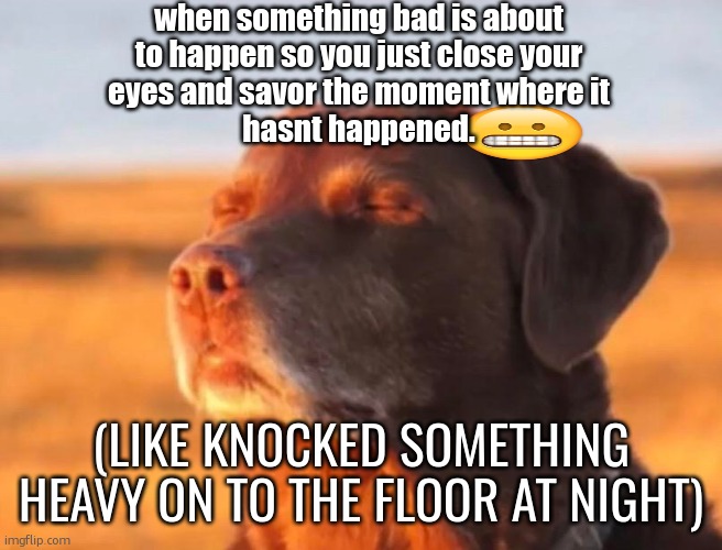 ah this is real tho right? | when something bad is about
to happen so you just close your
eyes and savor the moment where it
hasnt happened. (like knocked something heavy on to the floor at night) | image tagged in dog accepting fate | made w/ Imgflip meme maker