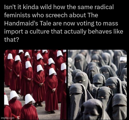 Foolish Feminists | image tagged in you can't make this stuff up,feminists,feminism is cancer,insanity,crazy | made w/ Imgflip meme maker