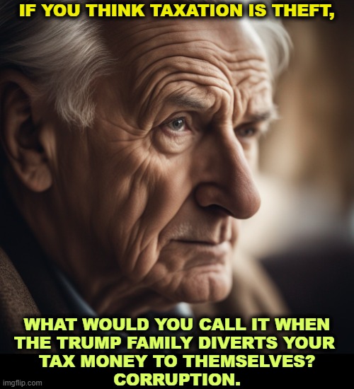 There's no money to spend on what you want because it's all going into Trump coffers. | If you think taxation is theft, what would you call it when
the Trump family diverts your 
tax money to themselves?
Corruption. | image tagged in _thoughtful old man portrait facing the camera 21 jpeg,taxation is theft,trump,theft,greedy,greed | made w/ Imgflip meme maker