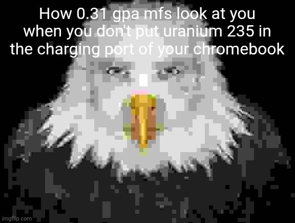 Human faced eagle | How 0.31 gpa mfs look at you when you don't put uranium 235 in the charging port of your chromebook | image tagged in human faced eagle,anal sex,anal probes,dildo,chinese,marshmallow | made w/ Imgflip meme maker